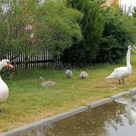 בית נופש Roubenka